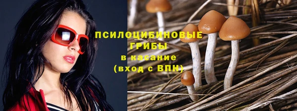 каннабис Богданович