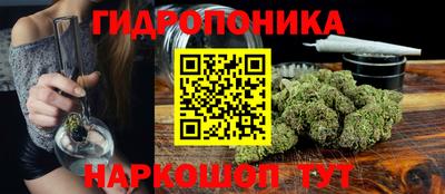 индика Краснознаменск